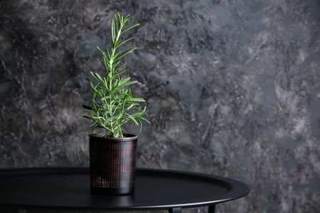 Pot with fresh rosemary on table against grey backgroundの写真素材