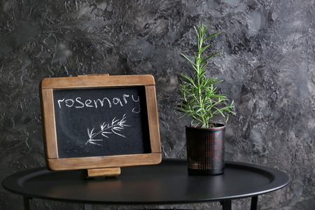 Pot with fresh rosemary and chalkboard on table against grey backgroundの写真素材