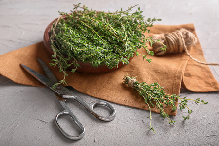 Fresh thyme with scissors and rope on grey backgroundの写真素材