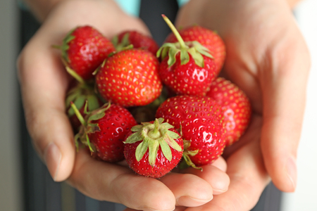 Woman holding sweet ripe strawberries, closeupの写真素材