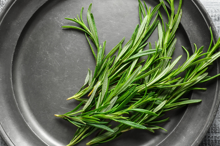 Plate with fresh rosemary on tableの写真素材