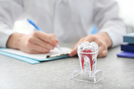 Table with plastic model of tooth on table of dentist's officeの写真素材