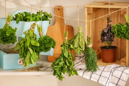 Fresh herbs hanging on strings indoors
