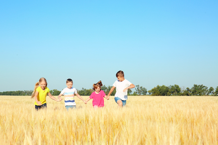 Cute little children playing in wheat field on sunny dayの写真素材