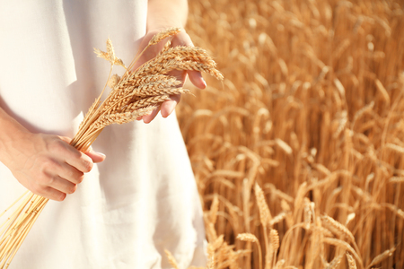 Beautiful woman with wheat spikelets in field on sunny dayの写真素材