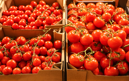 Ripe cherry tomatoes in boxes at marketの写真素材