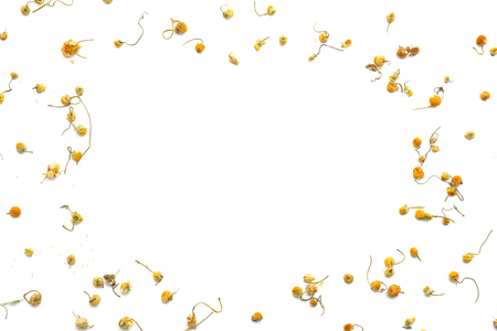 Dried chamomile flowers on white backgroundの写真素材