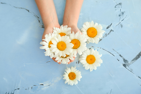 Female hands with beautiful chamomile flowers on color backgroundの写真素材