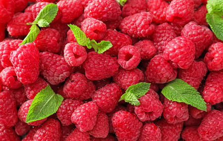 Sweet ripe raspberries and mint leaves as backgroundの写真素材