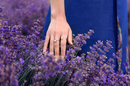Beautiful young woman touching lavender in field on summer dayの写真素材