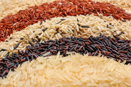 Different types of rice as backgroundの写真素材