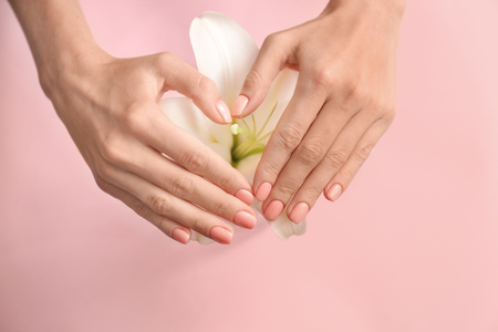 Hands of beautiful young woman with professional manicure and flower on color backgroundの写真素材