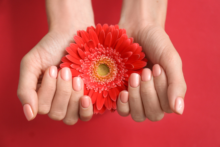 Hands of beautiful young woman with professional manicure and flower on color backgroundの写真素材