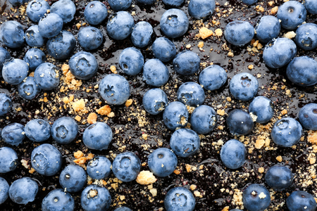 Delicious homemade pie with blueberries, closeupの写真素材