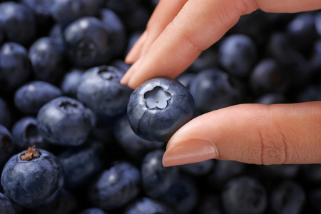 Female hand with fresh ripe blueberry, closeupの写真素材