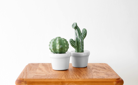 Ceramic cacti in pots on table against white backgroundの写真素材
