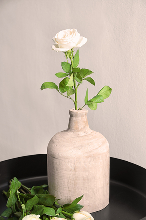 Vase with beautiful rose on table near light wallの写真素材