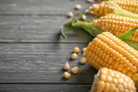 Fresh corn cobs on wooden table, closeup