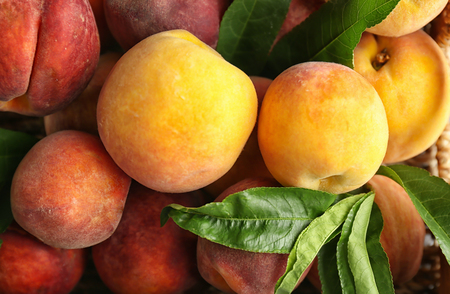 Fresh peaches in basket, closeupの写真素材