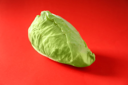 Fresh pointed cabbage on color backgroundの写真素材