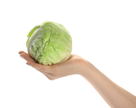Woman holding fresh cabbage on white backgroundの写真素材