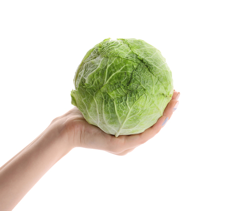 Woman holding fresh cabbage on white backgroundの写真素材