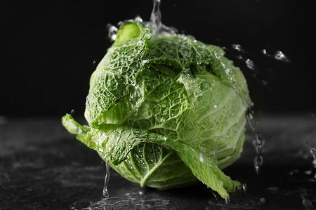 Fresh cabbage with drops of water on dark backgroundの写真素材