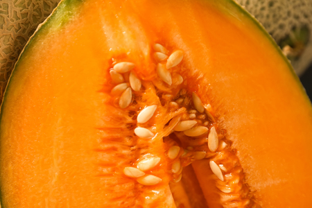 Cut ripe melon, closeupの写真素材