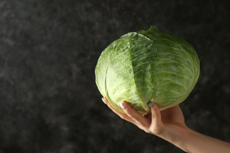 Female hand holding cabbage on dark backgroundの写真素材