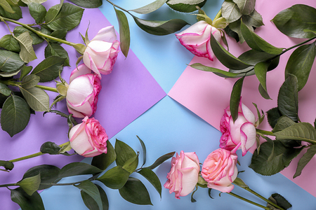 Frame made of beautiful roses on color backgroundの写真素材