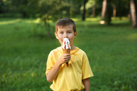 Cute little boy eating ice cream in park on summer dayの写真素材