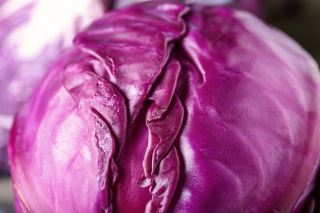 Ripe red cabbage, closeupの写真素材