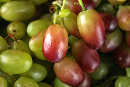 Fresh ripe grapes, closeupの写真素材