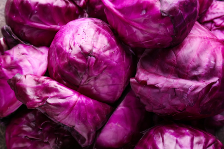 Ripe red cabbages as backgroundの写真素材
