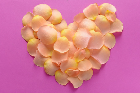 Heart made of beautiful flower petals on color backgroundの写真素材