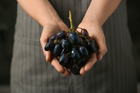 Woman holding sweet grapes, closeupの写真素材