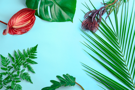 Fresh tropical leaves and flowers on color backgroundの写真素材