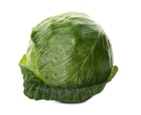Fresh ripe cabbage on white backgroundの写真素材