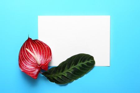 Fresh tropical leaf, flower and blank card on color background