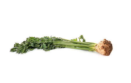 Fresh celery on white background