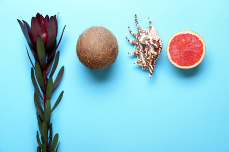 Summer composition with tropical flower, shell and fruits on color backgroundの写真素材