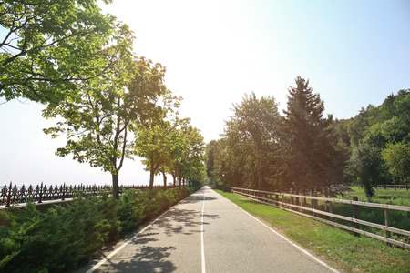Asphalt road in park on sunny dayの写真素材