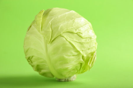 Fresh cabbage on color backgroundの写真素材