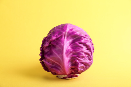 Fresh red cabbage on color backgroundの写真素材