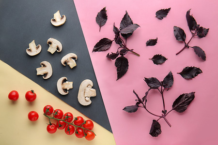 Flat lay composition with tomatoes, mushrooms and basil leaves on color backgroundの写真素材