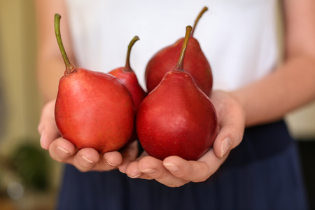 Woman holding tasty ripe pears, closeupの写真素材