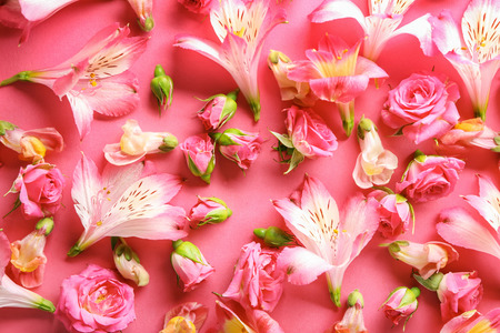 Beautiful blooming flowers on color backgroundの写真素材