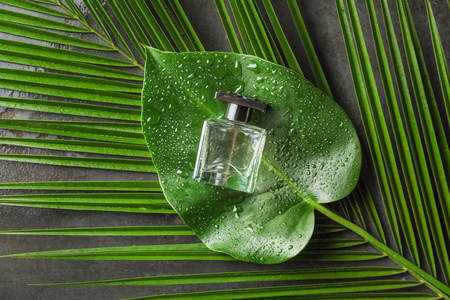 Bottle of perfume with tropical green leaves on dark tableの写真素材