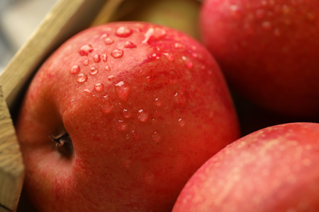 Ripe juicy apples with water drops, closeupの写真素材