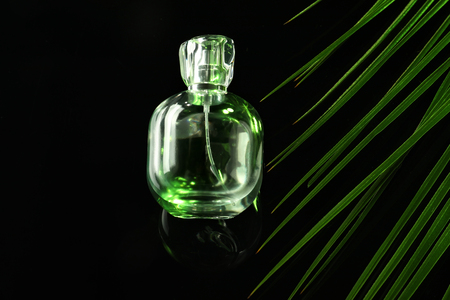 Bottle of perfume with tropical leaf on dark backgroundの写真素材